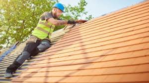 Best Roof Moss and Algae Removal  in Enosburg Falls, VT